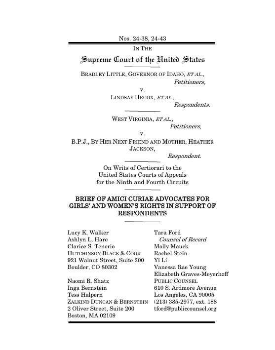Picture of amicus brief cover